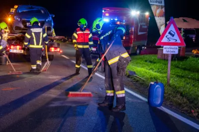 Sechs Verletzte bei Verkehrsunfall in Ternberg - Hund blieb unverletzt DSC-3220.jpg