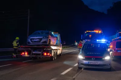 Sechs Verletzte bei Verkehrsunfall in Ternberg - Hund blieb unverletzt DSC-3250.jpg