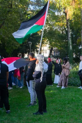 500 Teilnehmer bei Pro-Palästina-Demonstration im Linzer Volksgarten DSC01842.jpg