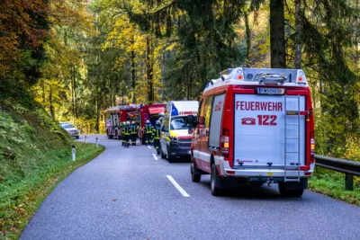 PKW kollidiert frontal mit Baum - Einsatzkräfte zweier Feuerwehren im Einsatz Vu-eingeklemmte-Person-Alberndorf-0675.jpg