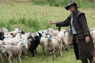 30 Schafe in Mühlviertel gestohlen schafe-gestohlen_07.jpg