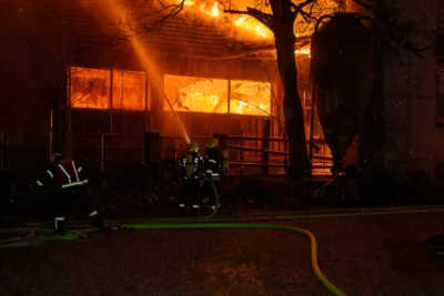 Bauernhofbrand - Über 29 Stiere fielen Feuer zum Opfer FOKE-2023112906494312-002.jpg