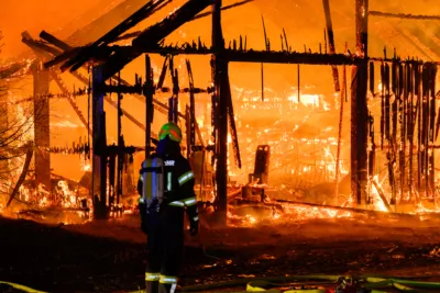 Bauernhofbrand - Über 29 Stiere fielen Feuer zum Opfer FOKE-2023112906504315-005.jpg