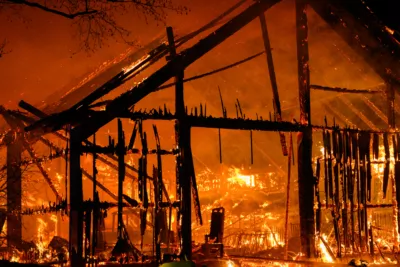 Bauernhofbrand - Über 29 Stiere fielen Feuer zum Opfer FOKE-2023112906504317-007.jpg