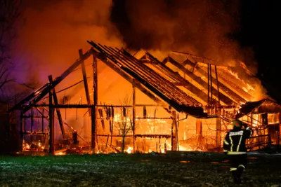 Bauernhofbrand - Über 29 Stiere fielen Feuer zum Opfer FOKE-2023112906554331-018.jpg