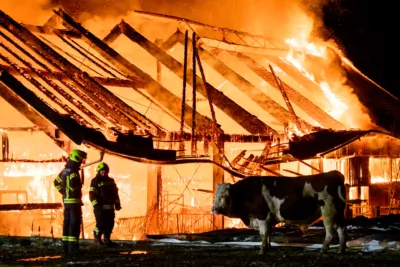 Bauernhofbrand - Über 29 Stiere fielen Feuer zum Opfer FOKE-2023112906584345-030.jpg