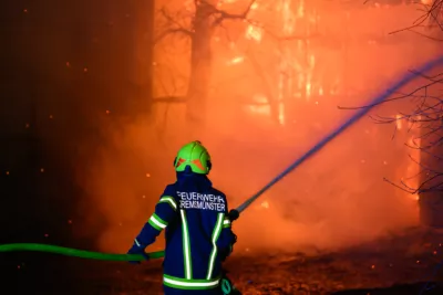 Bauernhofbrand - Über 29 Stiere fielen Feuer zum Opfer FOKE-2023112907144382-061.jpg