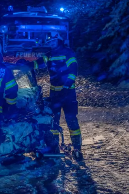 Schwerer Verkehrsunfall in Gschwandt fordert drei Verletzte DSC-9908.jpg