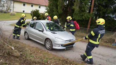 PKW kracht in St. Martin im Mühlkreis gegen Baum - eine Person verletzt fkstore-90781.jpg
