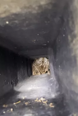 Erfolgreiche Tierrettung - Waldkauz aus Bunkerschacht gerettet IMG-0192-2.jpg