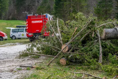 Sturmfront zieht über Oberösterreich – Feuerwehr und Bergrettung im Einsatz RAUS-20240401000096983-002.jpg