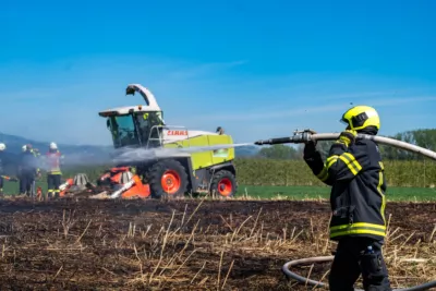 Feuerwehren im Einsatz gegen Vegetationsbrand A7403235-2400.jpg