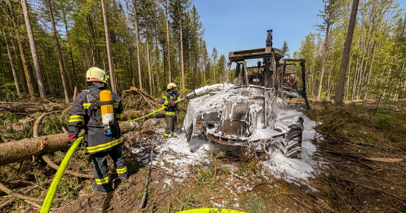 Titelbild: Mondseeberg: Feuerwehren verhindern Waldbrand