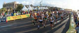 Wiederholter Teilnehmerzuwachs beim TUI Marathon Palma de Mallorca dsc_4349.jpg