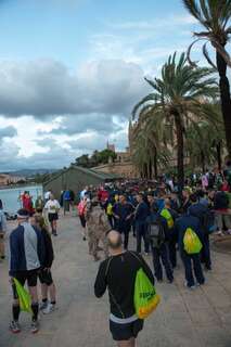 Wiederholter Teilnehmerzuwachs beim TUI Marathon Palma de Mallorca mallorca-2012_23.jpg