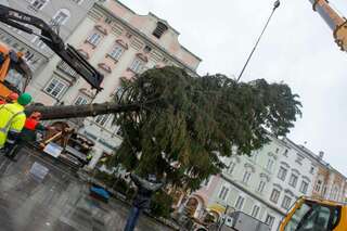 Christbaum auf dem Linzer Hauptplatz ist heuer ein Geschenk aus Freistadt christbaum-linz_04.jpg
