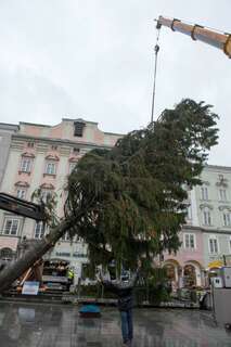Christbaum auf dem Linzer Hauptplatz ist heuer ein Geschenk aus Freistadt christbaum-linz_05.jpg
