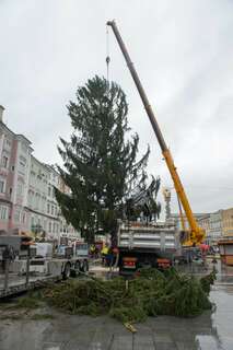Christbaum auf dem Linzer Hauptplatz ist heuer ein Geschenk aus Freistadt christbaum-linz_18.jpg
