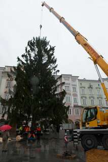 Christbaum auf dem Linzer Hauptplatz ist heuer ein Geschenk aus Freistadt christbaum-linz_19.jpg