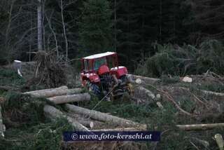 Tödlicher Forstunfall im Mühlviertel dsc_2921.jpg