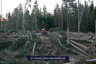Tödlicher Forstunfall im Mühlviertel dsc_2929.jpg