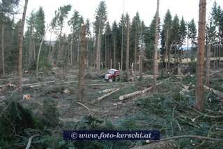 Tödlicher Forstunfall im Mühlviertel dsc_2944.jpg