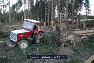 Tödlicher Forstunfall im Mühlviertel dsc_2979.jpg