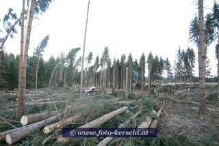 Tödlicher Forstunfall im Mühlviertel dsc_2982.jpg
