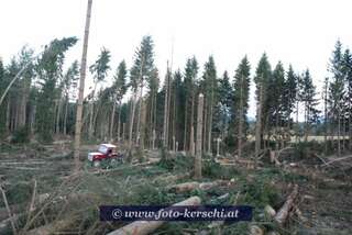Tödlicher Forstunfall im Mühlviertel dsc_2987.jpg