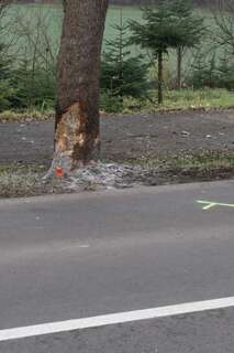 Auto gegen Baum: 53-Jähriger starb bei Unfall im Mühlviertel auto-gegen-baum_30.jpg