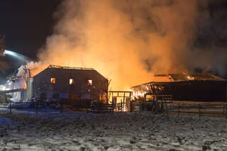 Brand vernichtete Stall: Großteil der 200 Tiere wurde gerettet brand-st-ulrich-muehlkreis_01.jpg