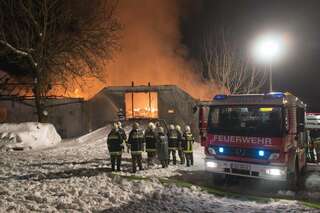 Brand vernichtete Stall: Großteil der 200 Tiere wurde gerettet brand-st-ulrich-muehlkreis_03.jpg