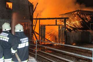 Brand vernichtete Stall: Großteil der 200 Tiere wurde gerettet brand-st-ulrich-muehlkreis_04.jpg