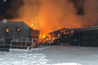 Brand vernichtete Stall: Großteil der 200 Tiere wurde gerettet brand-st-ulrich-muehlkreis_06.jpg
