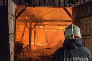 Brand vernichtete Stall: Großteil der 200 Tiere wurde gerettet brand-st-ulrich-muehlkreis_07.jpg