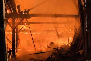 Brand vernichtete Stall: Großteil der 200 Tiere wurde gerettet brand-st-ulrich-muehlkreis_11.jpg