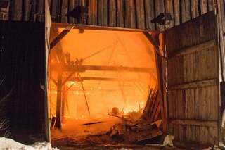 Brand vernichtete Stall: Großteil der 200 Tiere wurde gerettet brand-st-ulrich-muehlkreis_12.jpg