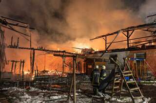 Brand vernichtete Stall: Großteil der 200 Tiere wurde gerettet brand-st-ulrich-muehlkreis_15.jpg