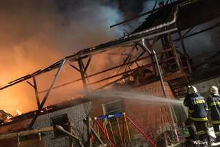Brand vernichtete Stall: Großteil der 200 Tiere wurde gerettet brand-st-ulrich-muehlkreis_16.jpg