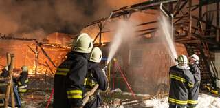 Brand vernichtete Stall: Großteil der 200 Tiere wurde gerettet brand-st-ulrich-muehlkreis_19.jpg