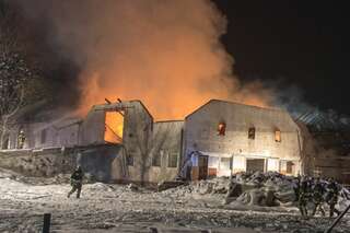 Brand vernichtete Stall: Großteil der 200 Tiere wurde gerettet brand-st-ulrich-muehlkreis_29.jpg