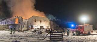 Brand vernichtete Stall: Großteil der 200 Tiere wurde gerettet brand-st-ulrich-muehlkreis_30.jpg