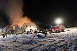Brand vernichtete Stall: Großteil der 200 Tiere wurde gerettet brand-st-ulrich-muehlkreis_31.jpg