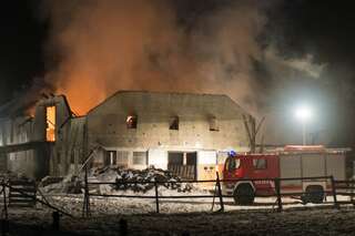 Brand vernichtete Stall: Großteil der 200 Tiere wurde gerettet brand-st-ulrich-muehlkreis_37.jpg