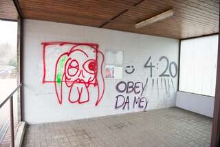 Graffiti-Sprüher richteten großen Schaden an 20130407-3171.jpg