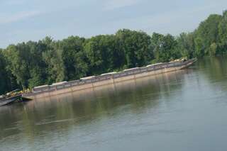 Schiffshavarie auf der Donau bei Mauthausen 20130529-8402.jpg