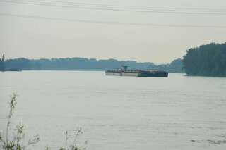 Schiffshavarie auf der Donau bei Mauthausen 20130529-8420.jpg