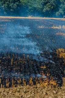 Defekt an einem Mähdrescher setzt Feld in Brand 20130727-5793.jpg