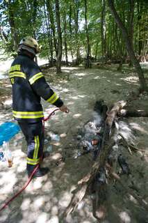 Feuerwehreinsatz wegen Lagerfeuer im Wald 20130803-6055.jpg