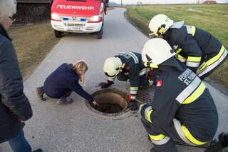 Feuerwehrmänner befreiten Kater aus Abwasserkanal 20140205-2775.jpg